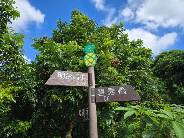 阿罩霧山、中心瓏步道（小百岳）2615704