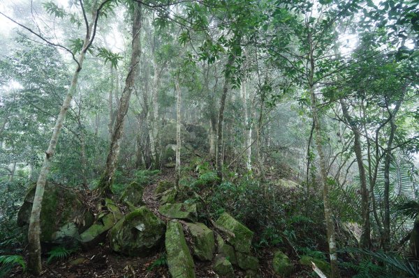 新竹 五峰 鬼澤山2634021