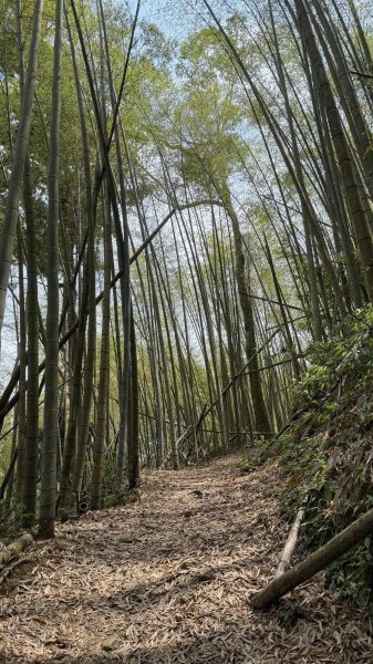 20250427小百岳石壁山2776714