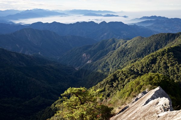 鳶嘴稍來山：晨曦與林相529064