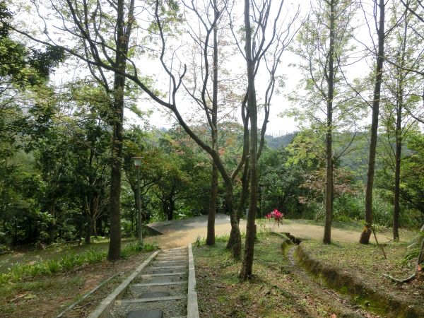 富陽生態公園．福州山106555