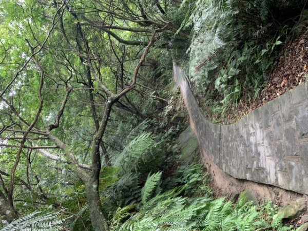 台北大縱走第四段1667323