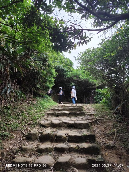 南子吝登山步道【踢不爛大地遊戲】2513432