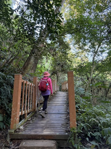鳴鳳山-錫隘古道大O繞-202601252991405