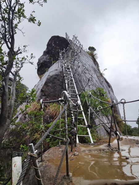 微笑山線：【五分山系】菁桐煤礦段、平溪小黃山段、望古瀑布段2841304