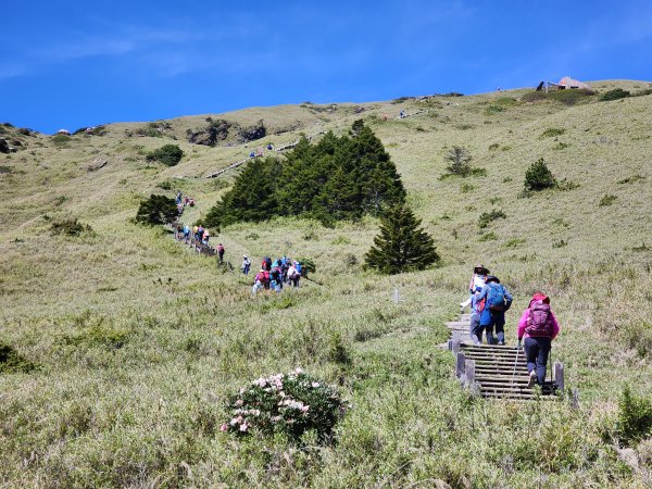 百岳No.35⛰合歡東峰2498793