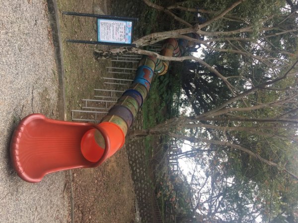 鳶山三連峰O繞一圈（三峽老街祭五臟廟 #鳶山 #鳶山東峰 #鳶尾山 #鳶山岩 #三峽老街2683251