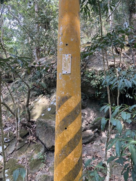 20260214三竹縱走;三腳南山+竹仔尖山3001695