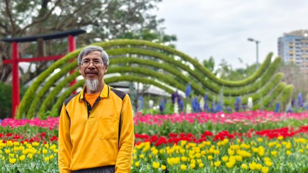 #士林官邸 #鬱金香 #碧山巖 #椿寒櫻 #國父紀念館 #八重櫻 3/5 #三層崎 #嗄嘮別 3/63010405