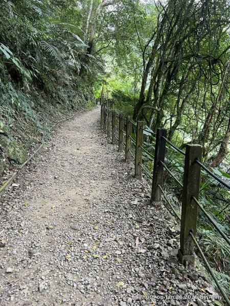 【新竹縣】親民又原始的馬胎古道＋南坪古道2991157