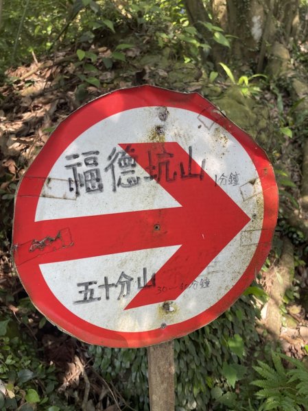 【鳶山山系】鳶山彩壁2858071