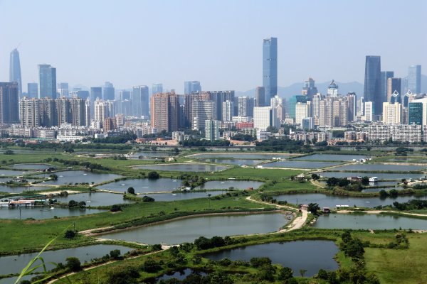 HK - 鐵坑，蛇嶺1268060