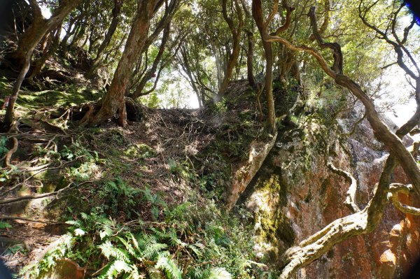 新竹 尖石 貴妃山、那結山2913616