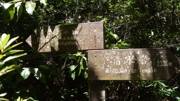 橫山登山健行趣(小百岳48號)1829672