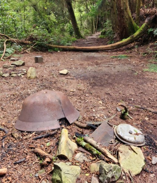 【中級山】五星級步道，谷關七雄馬崙山（八壯士進，斯可巴出）2744964