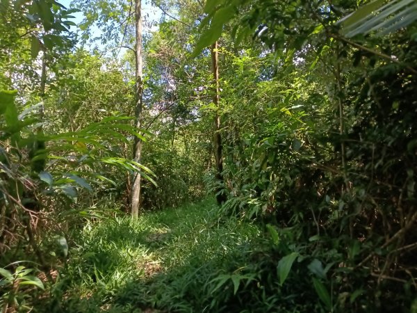 平溪區灰窯山驚險岩稜+司公碗帽山O型2897922