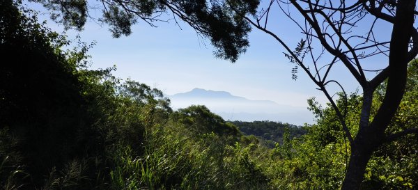 2025/11/09-青青草原步道2933462