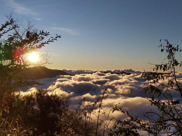 鼓山尖峰泡茶趣---塔塔加鹿林山鹿林前山810160