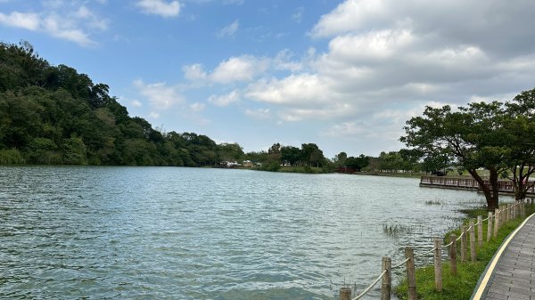 樟之細路三坑到關西3015324