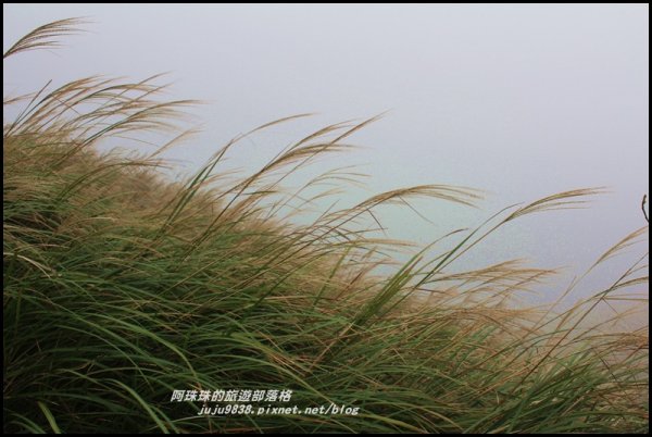 七星山東峰步道472894