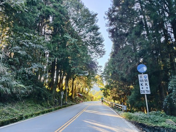 [百山百鳥尋旅-12/15] 2025_0928 特富野古道2899583