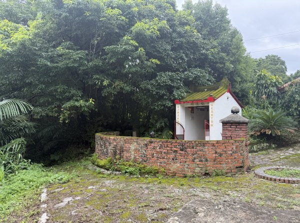 [樟之細路_第二大段RSA23] 2026_0823 茶亭古道3121946