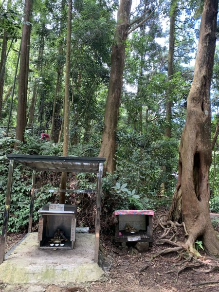 20250614南投南鳳凰山2813256