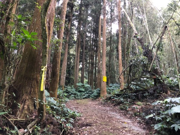 迷糊步道停車場上芙蓉山885743