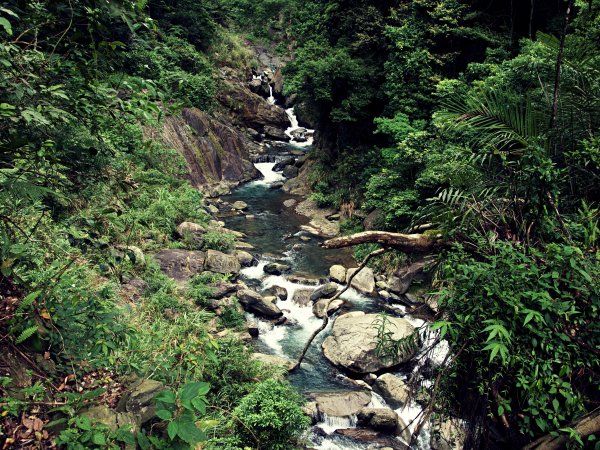 小錦屏野溪溫泉-心脾透暢614045