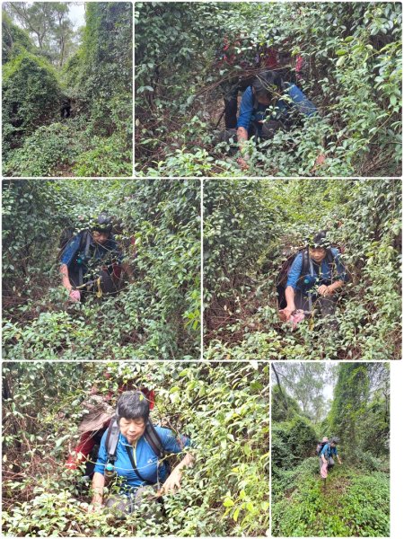 關西大東坑山/草長難過  順訪東安古橋2930513