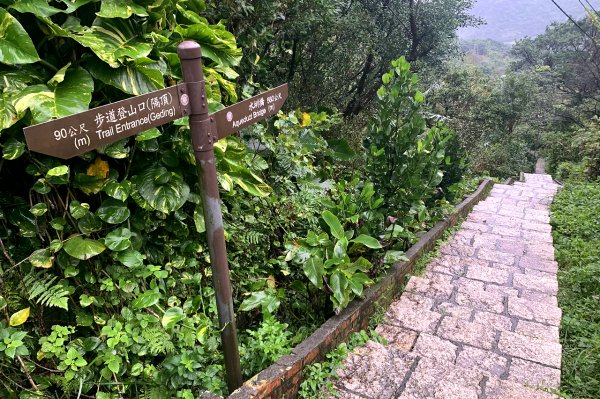 新北瑞芳｜九份_山尖路觀光步道｜滿滿和風氣息!金瓜石水圳橋遺跡1574454