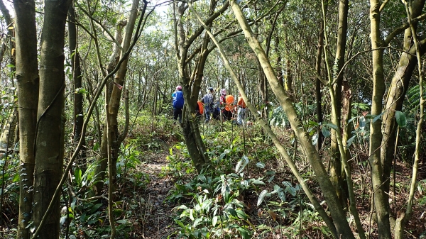 北部三大縱走之界寮大縱走50180