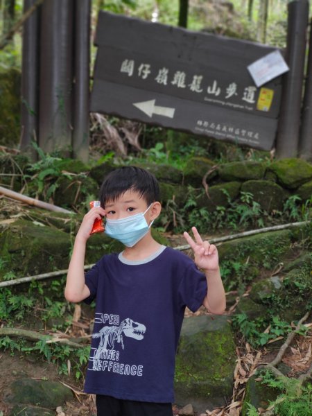 關子嶺運動+泡湯，雞籠山步道：台灣最大蜘蛛、黑端豹斑蝶、猴子、赤蛙、蜥蜴、山豬(只有聽到聲音)1708434