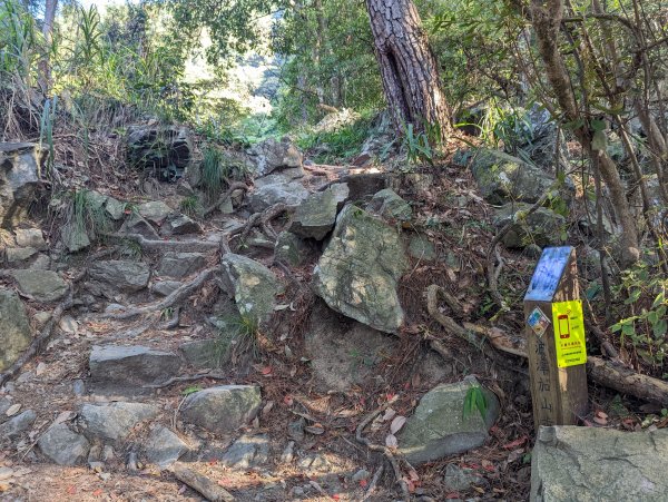 谷關七雄：有點硬陡的波津加山（捎來吊橋進、谷關吊橋出）1861393