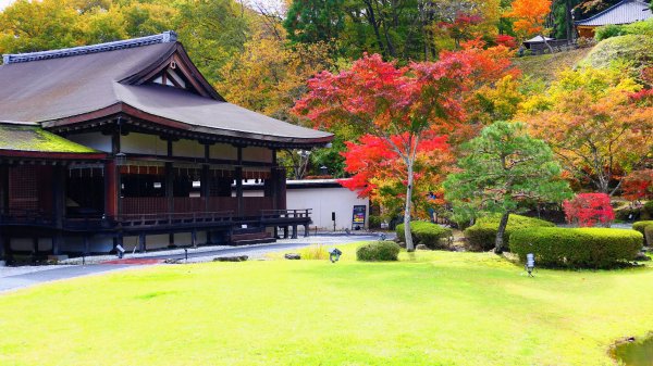 岩手縣藤原之鄉2930100