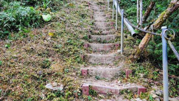 梅嶺竹子尖山2987438