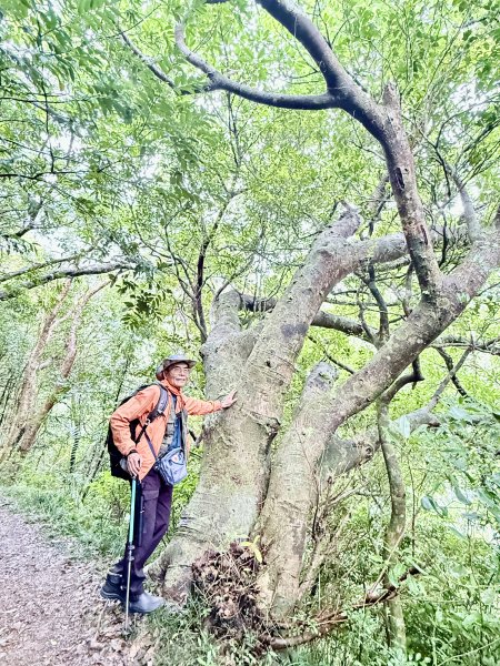 雙流帽子山悠遊  2025.01.032688556