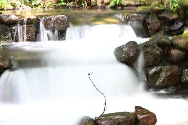 2025_0628 大羅蘭溪古圳步道(福山馬岸)2825219