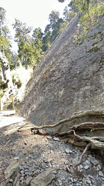 東埔-排雲-玉山西峰-玉山主峰2753225