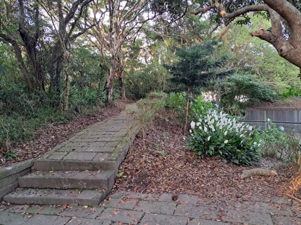 新北硬漢領步道3105914