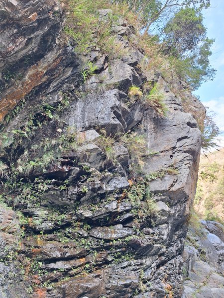 北港溪峽谷202602092995645