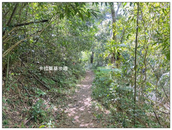 卡拉莫基步道、哈盆古道、波露南山 連走3094803