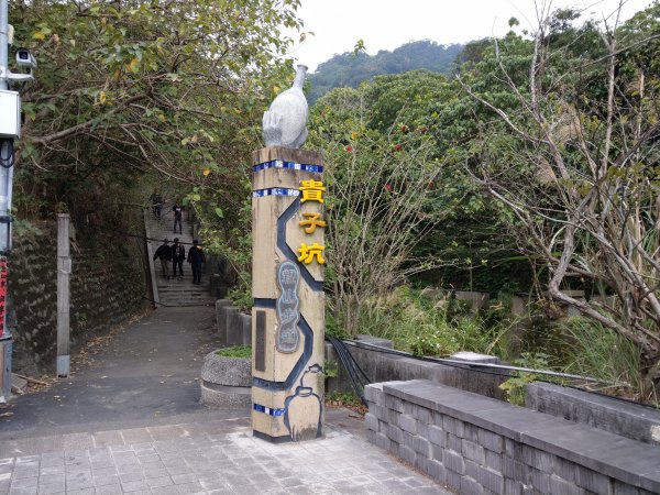 貴子坑下菁嚳步道1453735