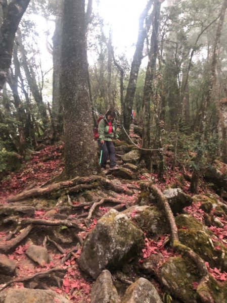 步步驚魂的鳶嘴山和稍來山787064