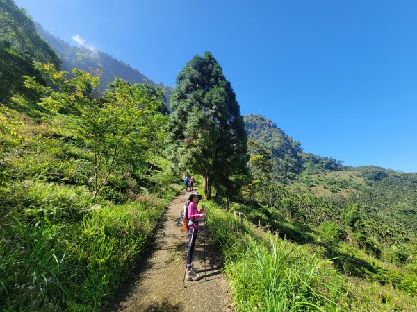 【台南 | 關仔嶺】九龍山上大棟山O型走