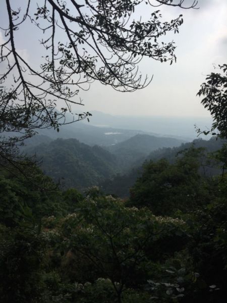 白石山步道（桃園）333070