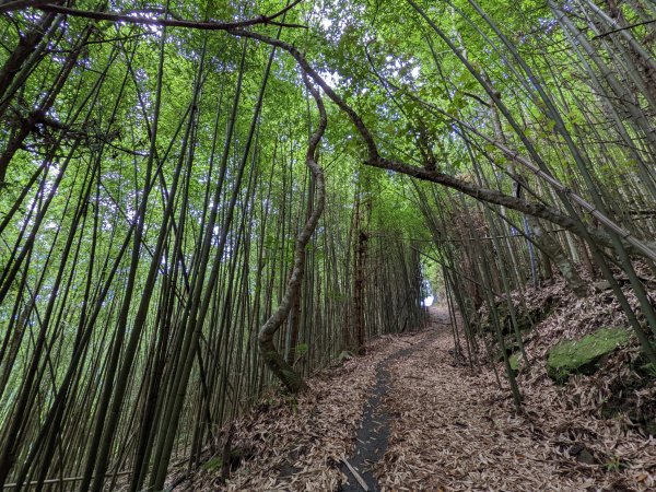 橫龍山騰龍山1726324