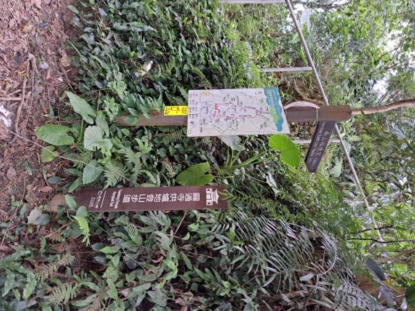2026微笑山線烘爐地土地公段3103733