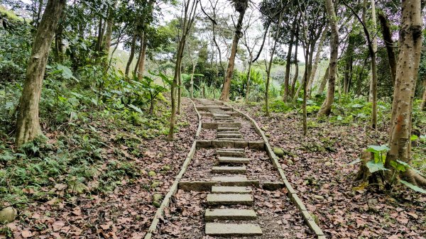 楊梅保甲古道,福人登山步道2695960