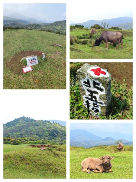 坪頂古圳-荷蘭古道-高頂北五指杏林山-石梯嶺擎天崗3026388